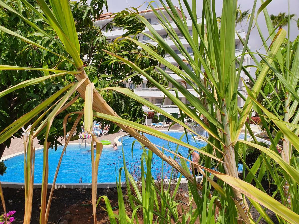 Spectacular Renovated Apartment, 5 Min To Camison Beach, With Aircon Арона Екстер'єр фото